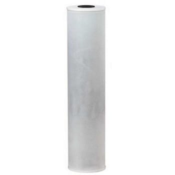 Image for Pentair Pentair 20 Carbon Filter For Viqua from HD Supply