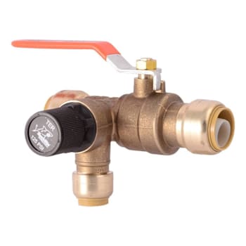 Reliance Worldwide 3/4" Brass Thermal Expansion Relief Valve