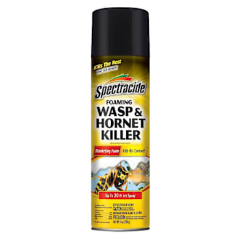 Spectracide Foaming Wasp Hornet Killer 14 Oz Ready-To-Use Insect Case Of 6