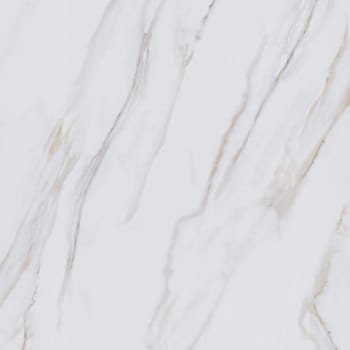 Lifeproof Tile, 12 Mil, 12" X 24", Lenox Park Carrara, Case Of 10