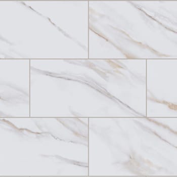 Image for Lifeproof Tile, 22 Mil, 11.9" X 23.8", Camrose Carrara, Case Of 9 from HD Supply
