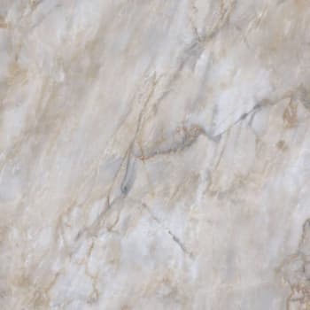 Image for Lifeproof Tile, 12 Mil, 12" X 24", Winding Delta Quartzite, Case Of 10 from HD Supply