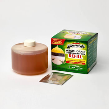 Hot Shot Spectracide™ Wasp Hornet And Yellow Jacket Insect Trap Refill Case Of 6