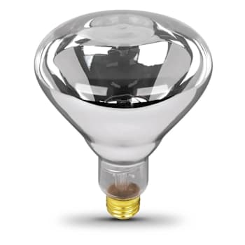 Feit Electric R40 Incandescent Heat Lamp, Medium Base, 250 Watt, Clear