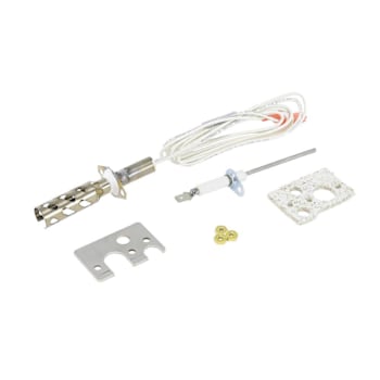 Condair Igniter/Flame Sensor 120v Gs