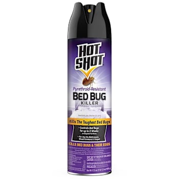 Hot Shot® 17.5 oz. Pyrethroid-Resistant Bed Bug Insect Killer Aerosol Case of 12