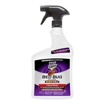 Hot Shot 32 Fl Oz Bed Bug Killer With Egg Kill Ready-To-Use Case Of 12