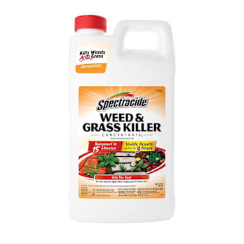Spectracide Weed & Grass Killer Concentrate 64 Oz Case Of 6