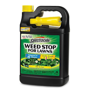 Spectracide Weed Stop For Lawns Ready-To-Use Sprayer 128 Oz Case Of 4
