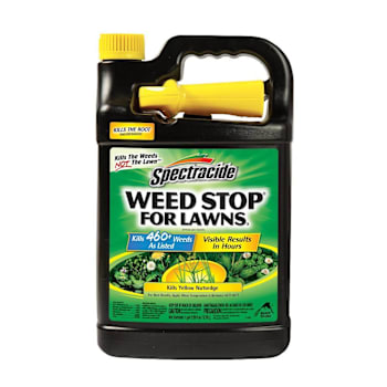 Spectracide Weed Stop For Lawns Ready-To-Use Sprayer 1 Gal Case Of 4