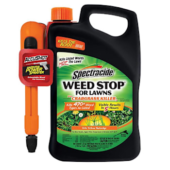 Spectracide Weed Stop/Grabgrass Killer Accushot Ready To Use 1.33 Gal Case Of 4