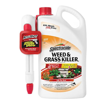 Spectracide Weed & Grass Killer Accushot Sprayer 1 Gal Case Of 4