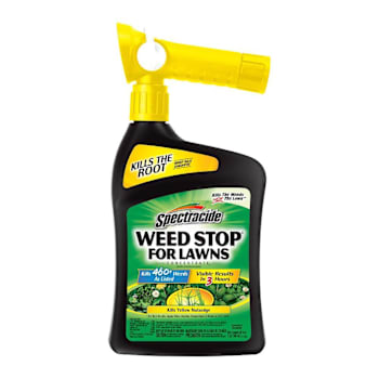 Spectracide Weed Stop For Lawns Ready-To-Spray 32 Oz Case Of 6