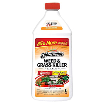 Spectracide Weed & Grass Killer Concentrate 40 Oz Case Of 6