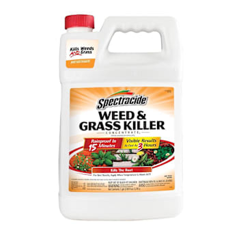 Spectracide Weed & Grass Killer Concentrate 1 Gal Case Of 4