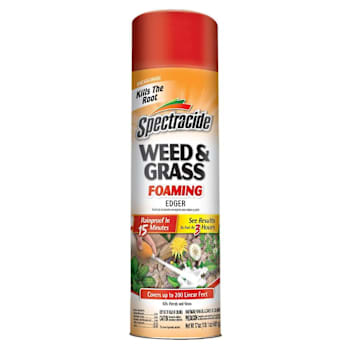 Spectracide Weed & Grass Foaming Edger 17 Oz Case Of 12