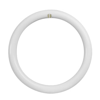 Feit Electric 12" T9 Circular LED, Type A, G10Q, 6500K, 20 Watt, Package Of 4