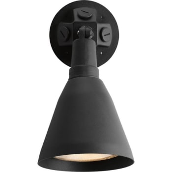 Image for Progress Lighting® Par Lampholder 11.31 In. Halogen Outdoor Wall Sconce from HD Supply