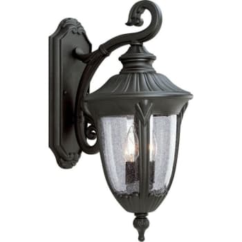 Image for Progress Lighting Meridian 9 X 20.25 In. 2-Light Outdoor Lantern (Textured Black) from HD Supply
