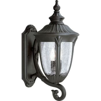 Image for Progress Lighting Meridian 9 X 19.75 In. 2-Light Outdoor Lantern (Textured Black) from HD Supply