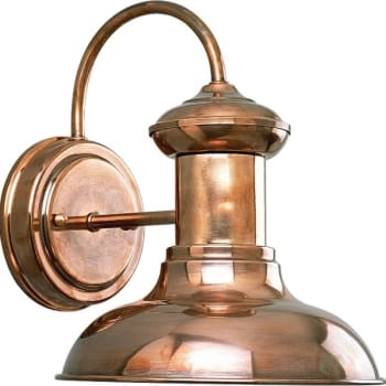 Progress Lighting Brookside 8.13 X 10 In. 1-Light Outdoor Lantern (Copper)