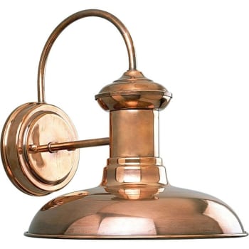 Progress Lighting Brookside 10 X 10.75 In. 1-Light Outdoor Lantern (Copper)