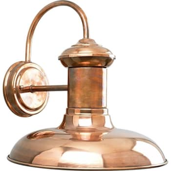 Image for Progress Lighting Brookside 12 X 12.38 In. 1-Light Outdoor Lantern (Cognac) from HD Supply