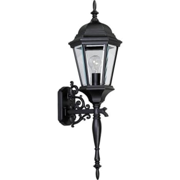 Image for Progress Lighting Welbourne 9.38 X 30.75 In. 1-Light Outdoor Lantern (Textured Black) from HD Supply