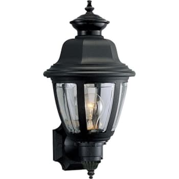 Image for Progress Lighting Non-Metallic 8 X 16 In. 1-Light Outdoor Lantern (Black) from HD Supply