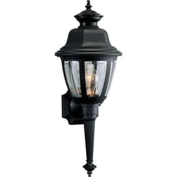 Image for Progress Lighting Non-Metallic 8 X 21 In. 1-Light Outdoor Lantern (Black) from HD Supply