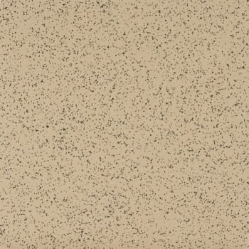 Image for Armstrong Stonetex Sandstone Tan Vinyl Composition Tile Cs/45 from HD Supply