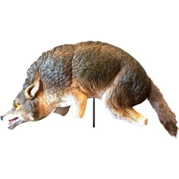 Bird-X 3d Coyote Predator Replica