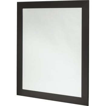 Renin 30 x 36" Black Framed Mirror