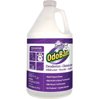 Image for OdoBan® 1 Gallon Deodorizing Disinfectant Concentrate (Lavender) from HD Supply