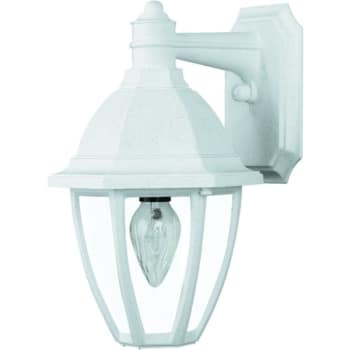 12.5 x 16 in. 1-Light Outdoor Lantern (White)