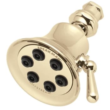 Image for Speakman Anystream Retro Multi-Spray Showerhead Polished Brass 2.5 Gpm from HD Supply