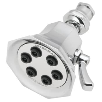 Image for Speakman Anystream Vintage Multi-Spray Showerhead Polished Chrome 2.5 Gpm from HD Supply