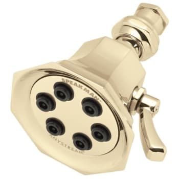 Image for Speakman Anystream Vintage Multi-Spray Showerhead Polished Brass 2.5 Gpm from HD Supply