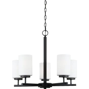 Sea Gull Lighting® Oslo 5-Light Hanging Indoor Chandelier (Glass)