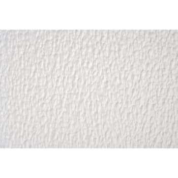 Image for Parkland Performance 2 X 2' Spectra Stucco Ceiling Tile, Package Of 12 from HD Supply