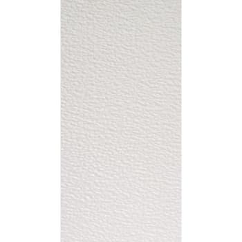 Parkland Performance 2 X 4' Spectra Stucco Ceiling Tile, Package Of 10