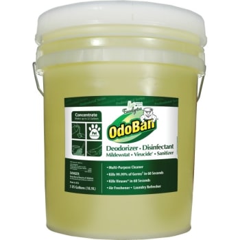 Image for OdoBan 5 Galllon Eucalyptus Scent Odor Eliminator and Disinfectant from HD Supply