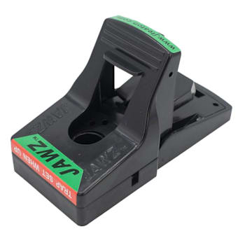 JT Eaton Jawz Plastic Rat Traps -  6 Bulk