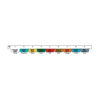 Omnimed Preprinted Poly Chart Divider, Side Open, 7 Hole, 9 Tabs, Mfg #220912