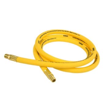 Image for Dewalt® 1/2 In. X 6 Ft. Premium Hybrid Lead-In Air Hose from HD Supply