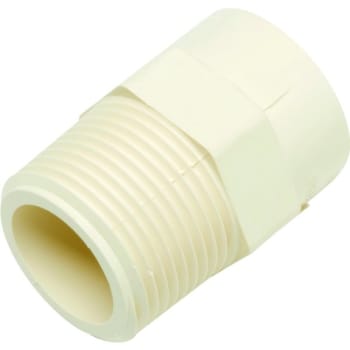 Image for Nibco CPVC Male Adapter - 3/4" x 3/4" from HD Supply