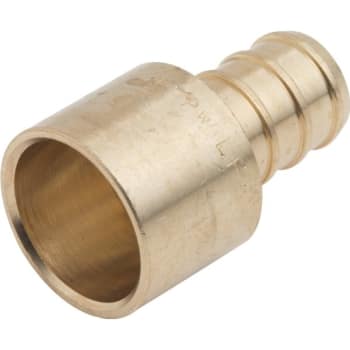Image for Sharkbite® Pex/barb Fitting Sweat Female Adapter 1/2 X 1/2 from HD Supply