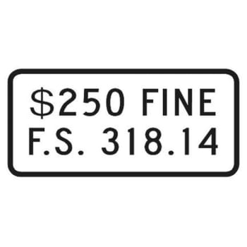 Image for Florida 250 Dollar Fine/f.s. 318.14 Supplemental Disabled Parking Sign, 12 X 6" from HD Supply