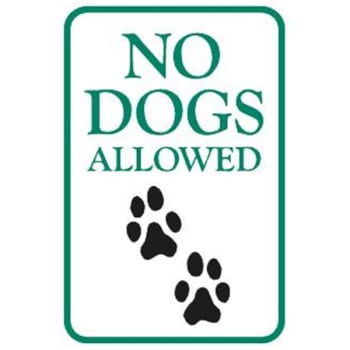 Image for No Dogs Allowed Sign, Low Profile, Non-Reflective, 6 x 9 from HD Supply