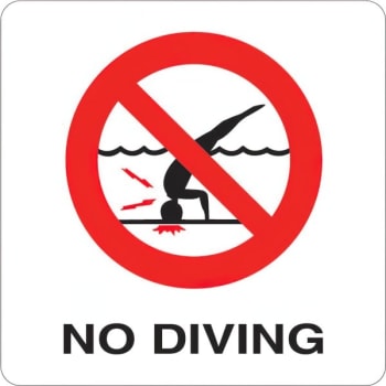 HD Supply 6 x 6 in Vinyl No Diving Pool Marker Sign w/ Symbol